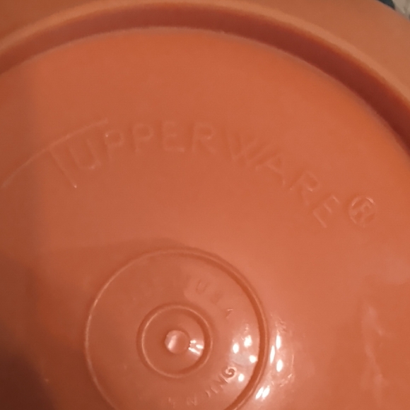 Orange Food Storage Container - Picture 2 of 3